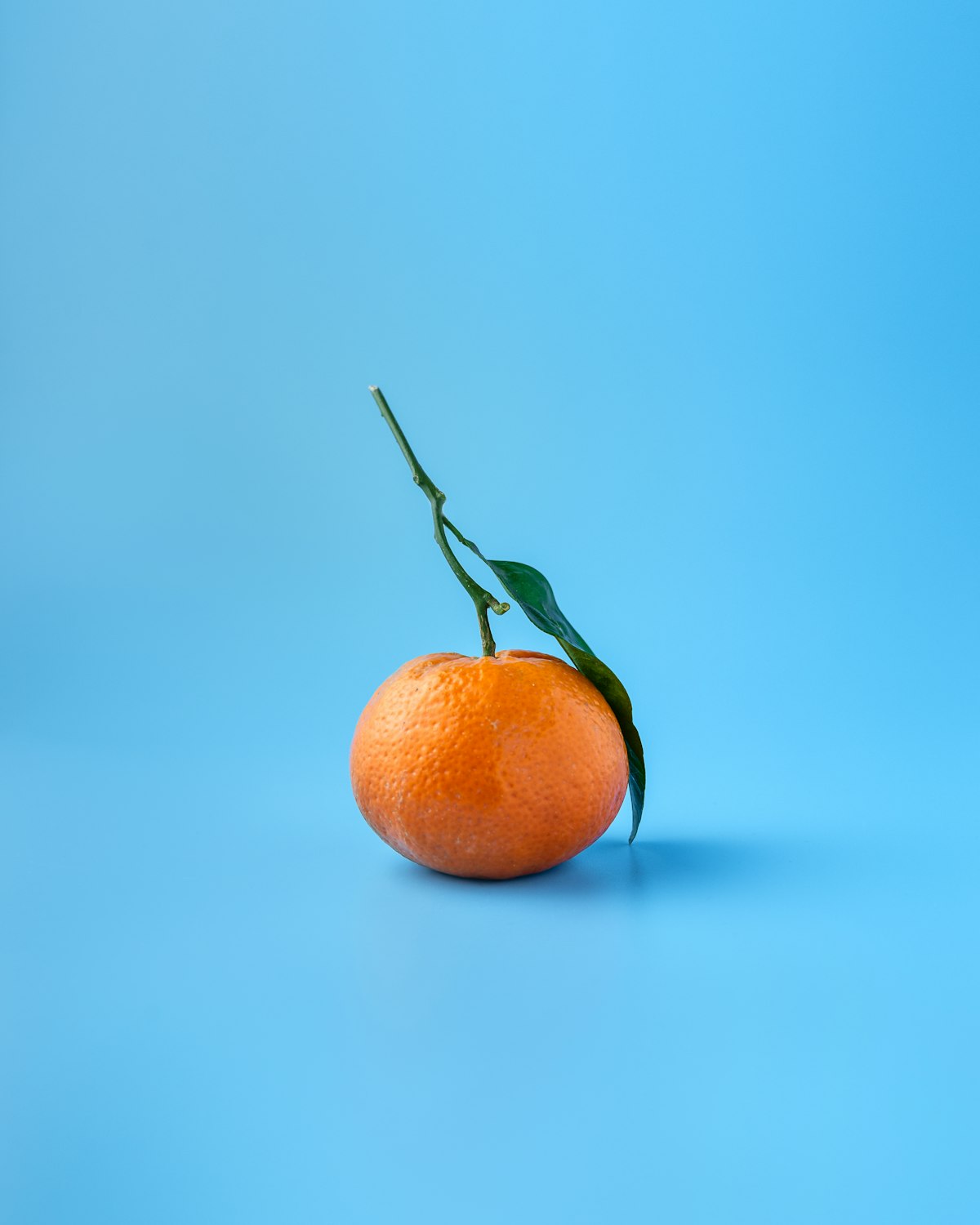 Multifruit Fresh Fruits